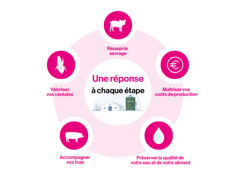 VITALAC-une réponse à chaque étape-élevage porc