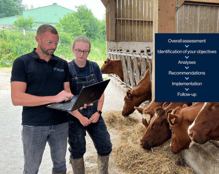 Overall assessment Identification of your objectives Analyses Recommendations Implementation Follow-up